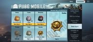 Donkatsu Medal in PUBG Mobile KR